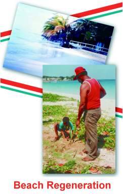 Beach Regeneration - Negril Chamber of Commerce 2003 - 20 Years of Service to the Negril Area - NegrilTravelGuide.com...!