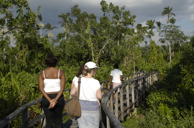 Negril Royal Palm Reserve Eco-Tourim Attraction - Negril Travel Guide, Negril Jamaica WI - http://www.negriltravelguide.com - info@negriltravelguide.com...!