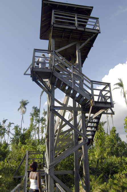 Negril Royal Palm Reserve Eco-Tourim Attraction - Negril Travel Guide, Negril Jamaica WI - http://www.negriltravelguide.com - info@negriltravelguide.com...!