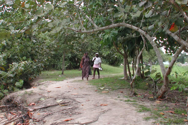 A Photo Walk along Negril's Famous Seven Mile Beach - Negril Travel Guide, Negril Jamaica WI - http://www.negriltravelguide.com - info@negriltravelguide.com...!