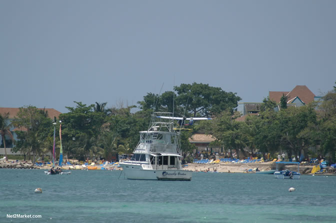 Island Flight Adventures - "feel the thrill" - Negril's Newest Adventure - Negril Travel Guide, Negril Jamaica WI - http://www.negriltravelguide.com - info@negriltravelguide.com...!