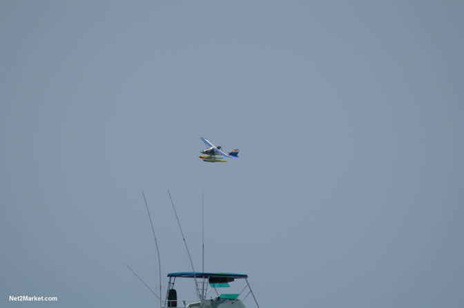 Island Flight Adventures - "feel the thrill" - Negril's Newest Adventure - Negril Travel Guide, Negril Jamaica WI - http://www.negriltravelguide.com - info@negriltravelguide.com...!