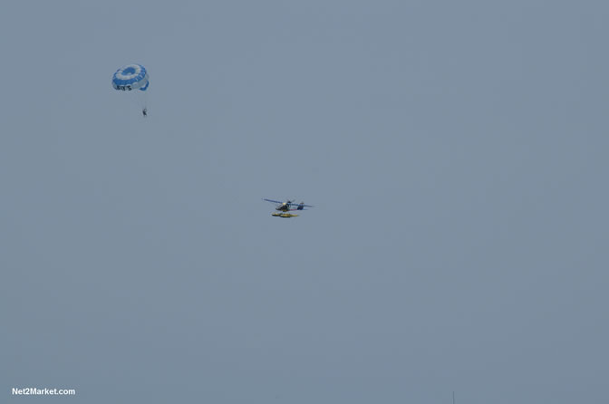 Island Flight Adventures - "feel the thrill" - Negril's Newest Adventure - Negril Travel Guide, Negril Jamaica WI - http://www.negriltravelguide.com - info@negriltravelguide.com...!