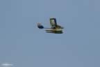 DSC_0333.jpg (9,797 bytes)