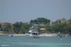 DSC_0335.jpg (49,843 bytes)