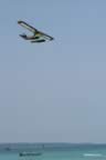 DSC_0358.jpg (14,795 bytes)