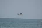 DSC_0482.jpg (23,123 bytes)