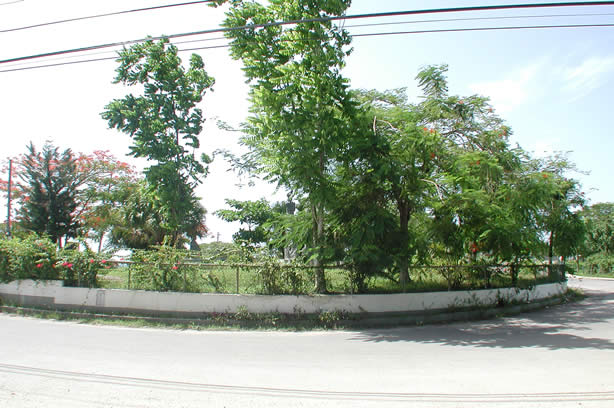 Negril Round-About Photographs - Celebrating 20 Years of Service to the Negril Community Photos - Negril Travel Guide, Negril Jamaica WI - http://www.negriltravelguide.com - info@negriltravelguide.com...!