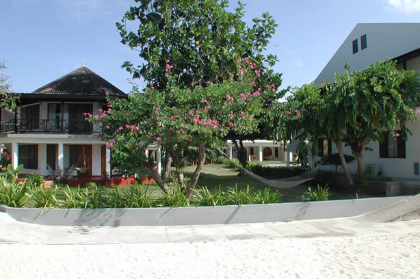 Negril's Tree House Resort Photos - Negril Travel Guide, Negril Jamaica WI - http://www.negriltravelguide.com - info@negriltravelguide.com...!