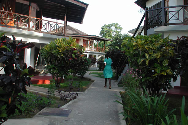 Negril's Tree House Resort Photos - Negril Travel Guide, Negril Jamaica WI - http://www.negriltravelguide.com - info@negriltravelguide.com...!