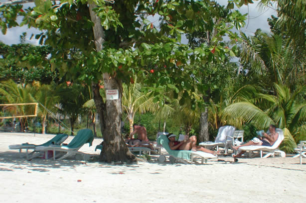 A Photo Walk along Negril's Famous Seven Mile Beach - Negril Travel Guide, Negril Jamaica WI - http://www.negriltravelguide.com - info@negriltravelguide.com...!