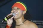 DSC_0053.jpg (40,719 bytes)