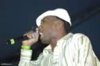 DSC_0066.jpg (42,857 bytes)
