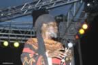 DSC_0491.jpg (58,797 bytes)