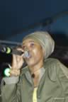 DSC_0123.jpg (35,925 bytes)