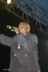 DSC_0567.jpg (38,467 bytes)