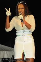 DSC_1947.jpg (54,462 bytes)