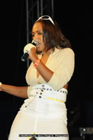 DSC_1950.jpg (49,100 bytes)