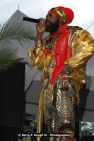 DSC_6893.jpg (96,869 bytes)