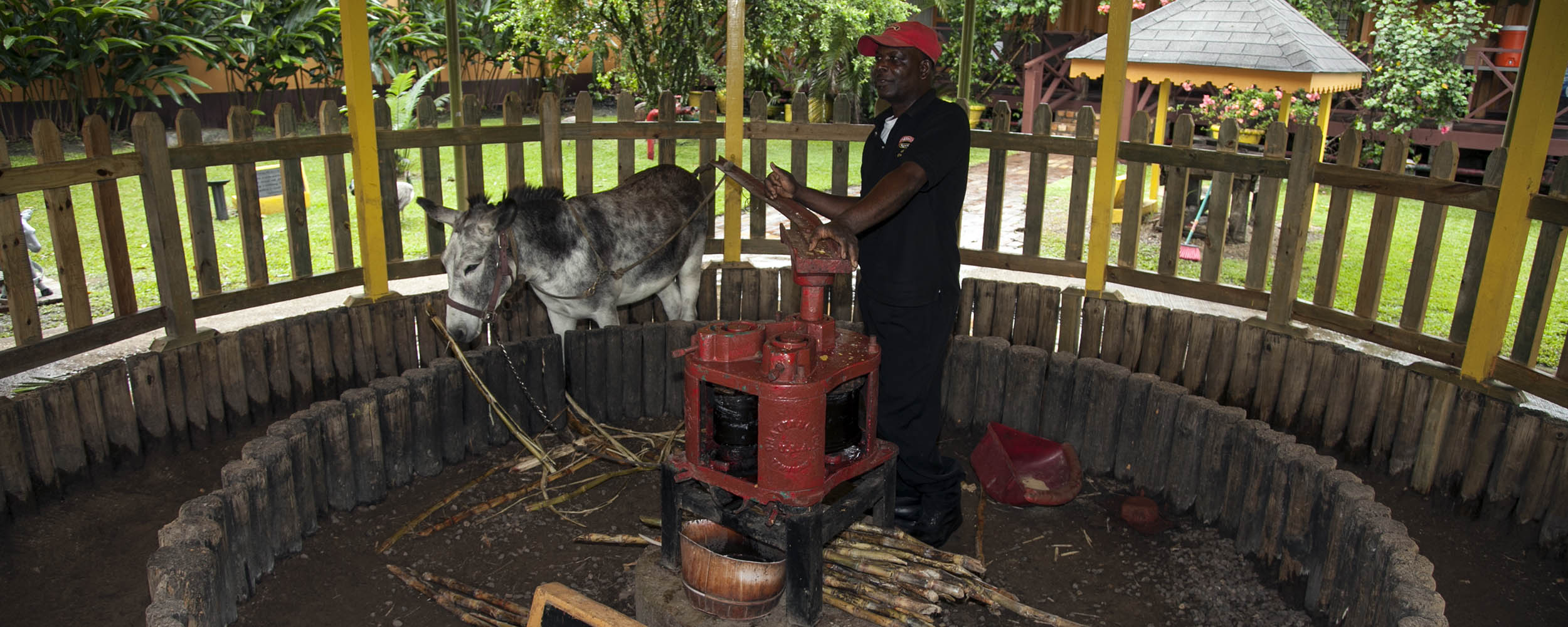 Appleton Estate Rum Factory - Jamaica