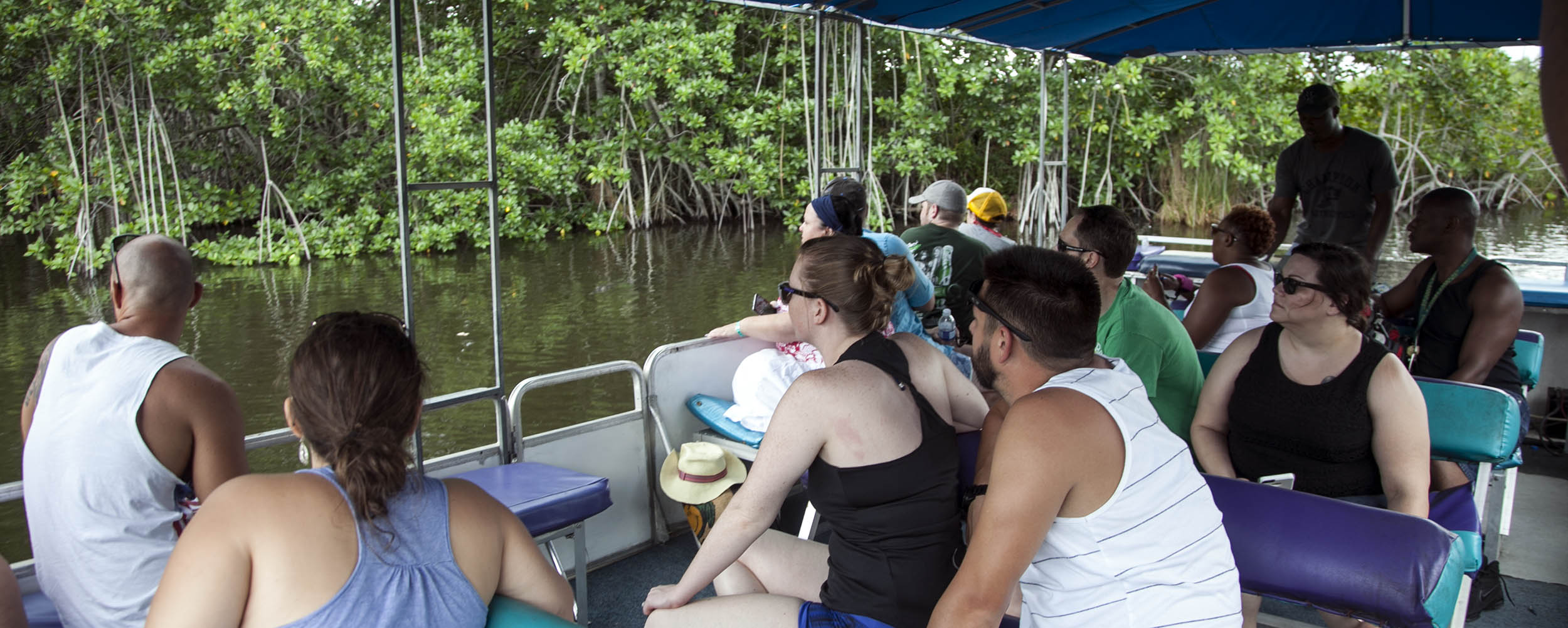 Black River Safari - Jamaica