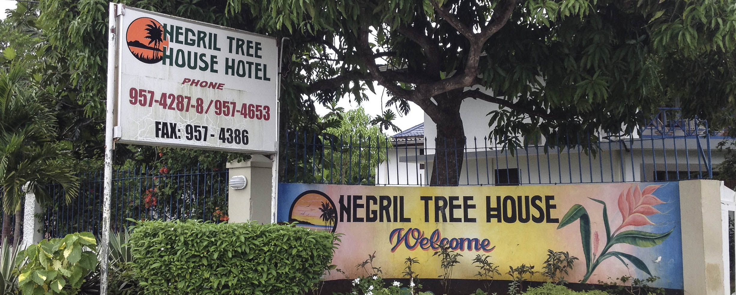 Negril Tree House Resort - Negril Jamaica
