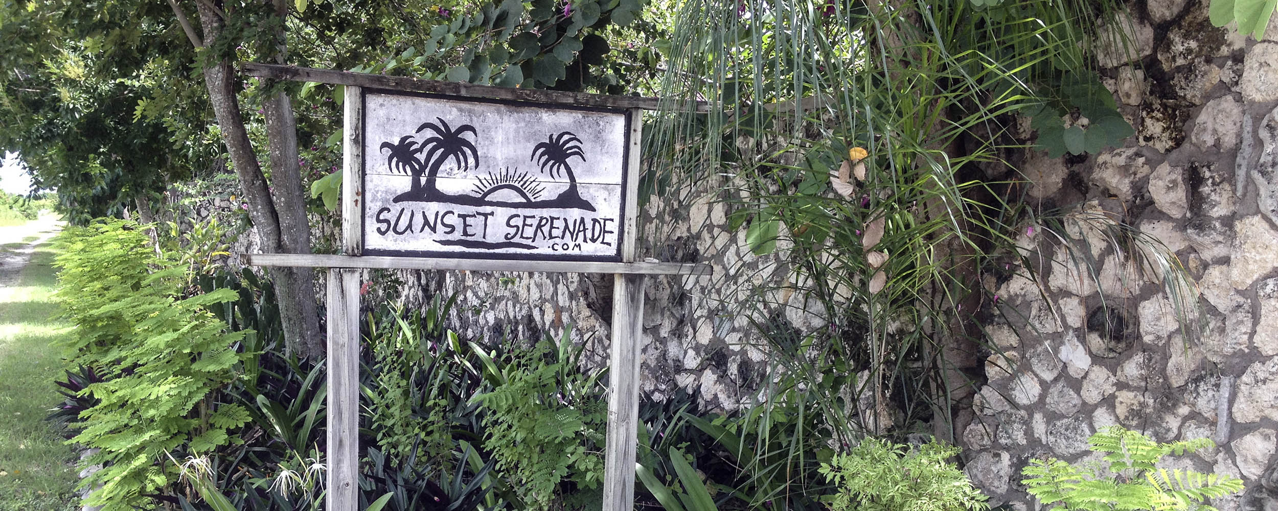 Sunset Serenade - Negril Jamaica